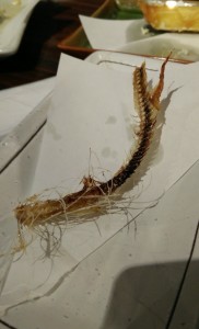 wpid-wp-1430521710323.jpeg