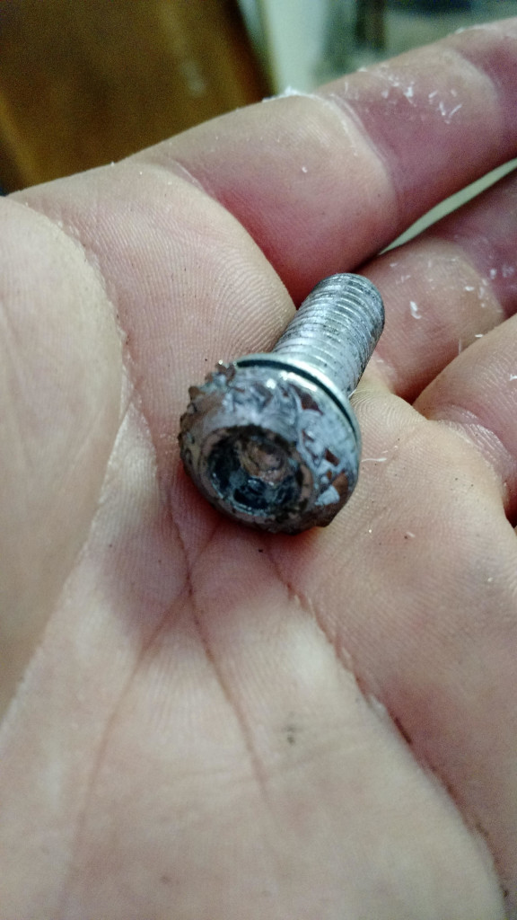 stripped_bolt